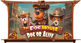 The Dog House – Dog or Alive artwork